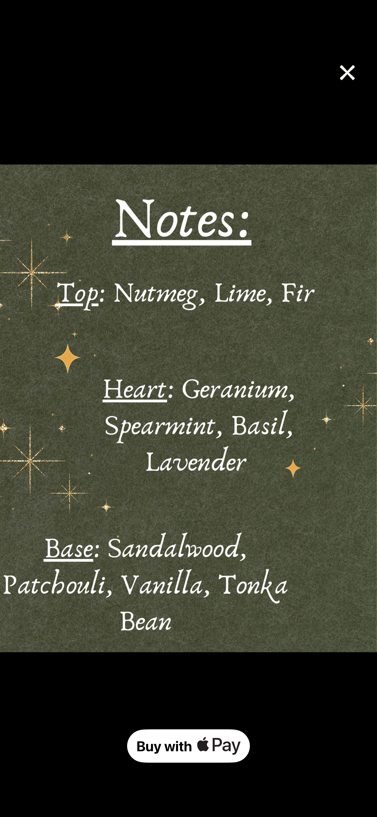 Mountain Lore Naturals: Black Bear